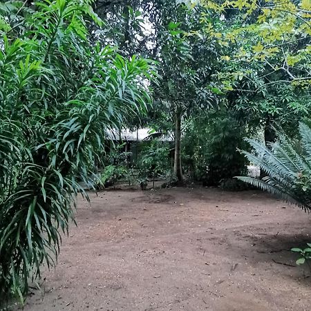 Sigiri Mango Garden Eco Resort 锡吉里亚 外观 照片