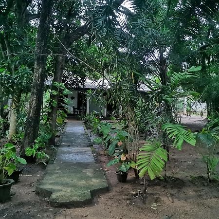 Sigiri Mango Garden Eco Resort 锡吉里亚 外观 照片